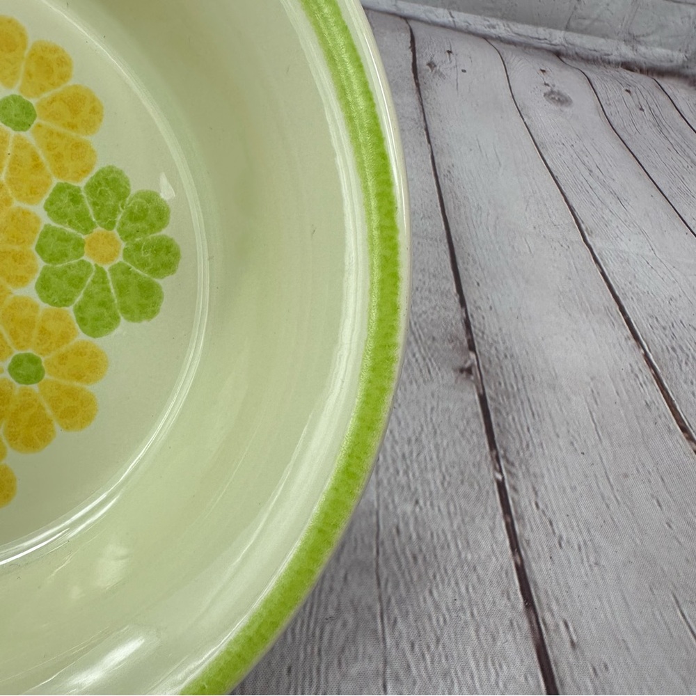 vtg picnic by Franciscan Earthenware 9" round vegetable bowl retro floral EUC - Picture 5 of 6